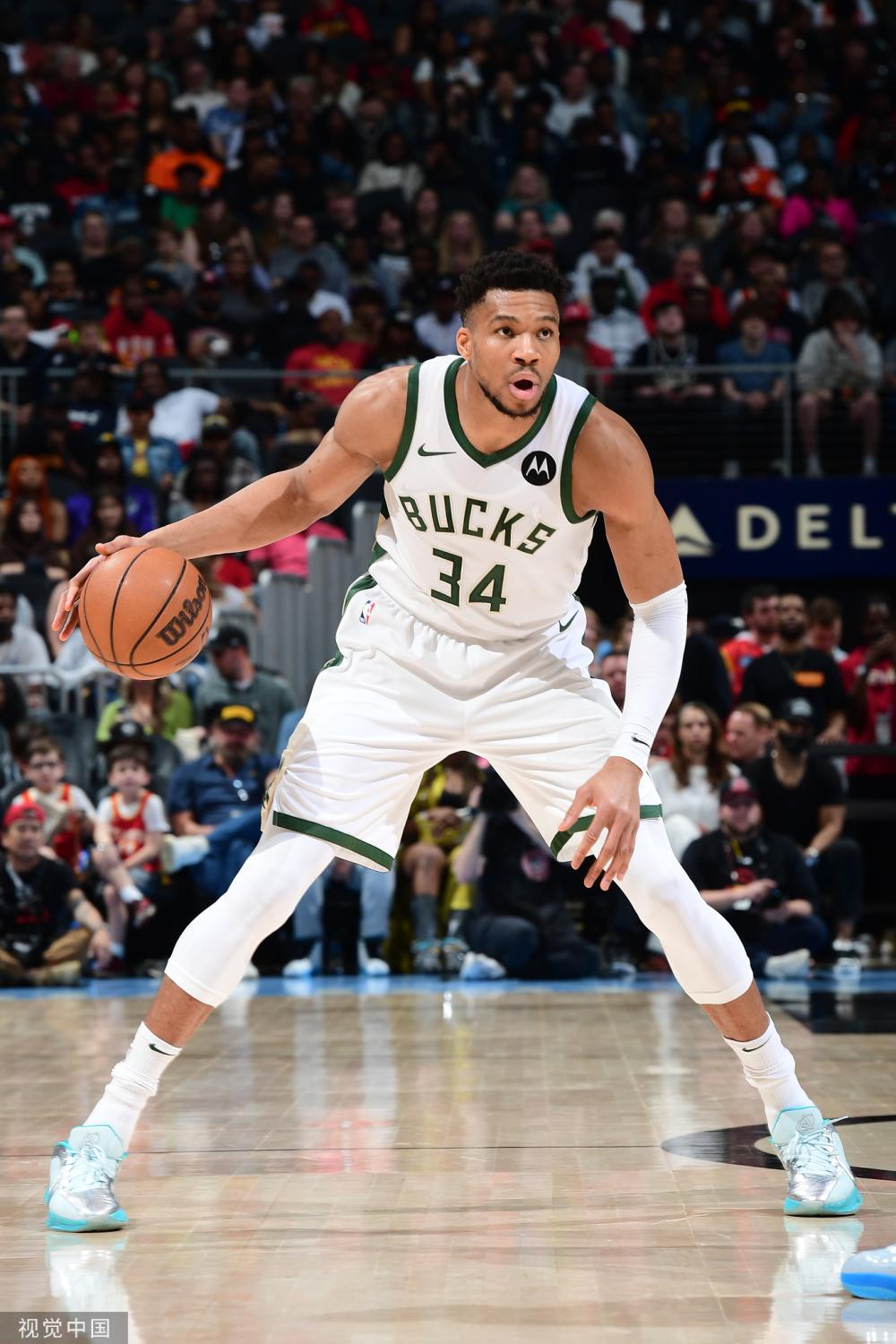 今年的阵容 今年的阵容